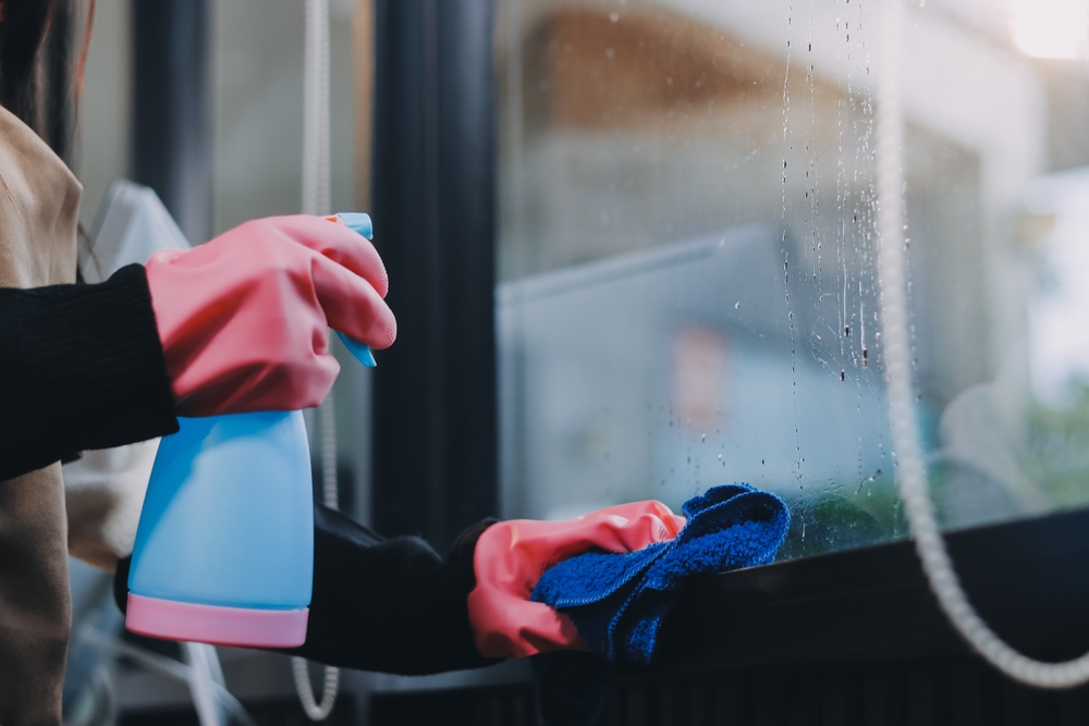 Louis Reinigung & Garten