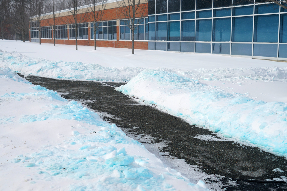 Louis Reinigung & Garten