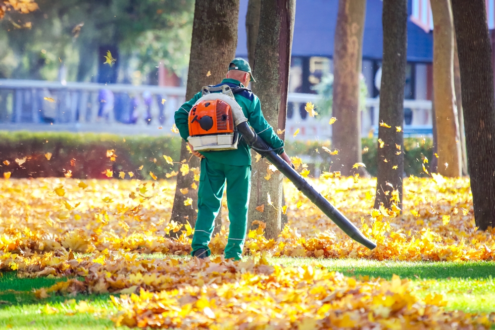 Louis Reinigung & Garten