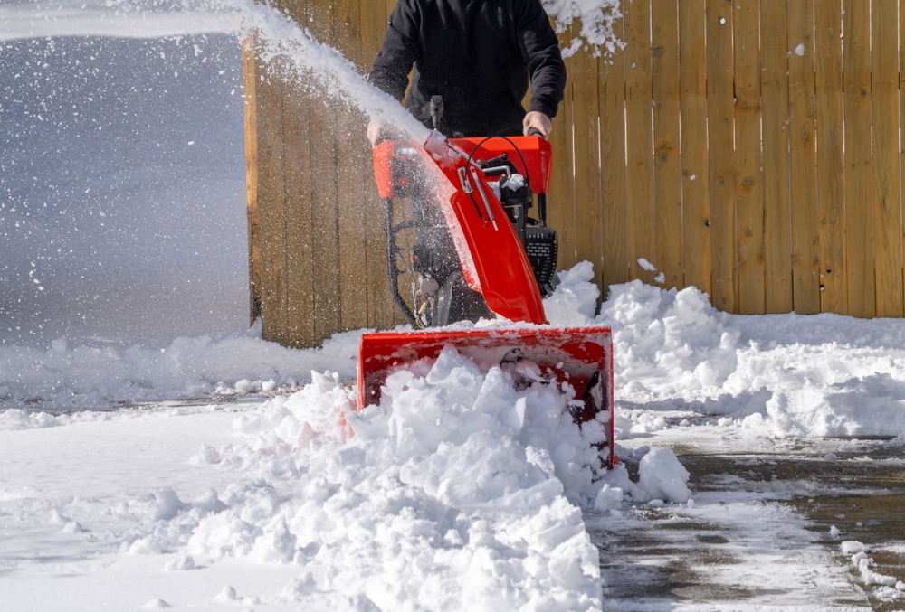 Louis Reinigung & Garten