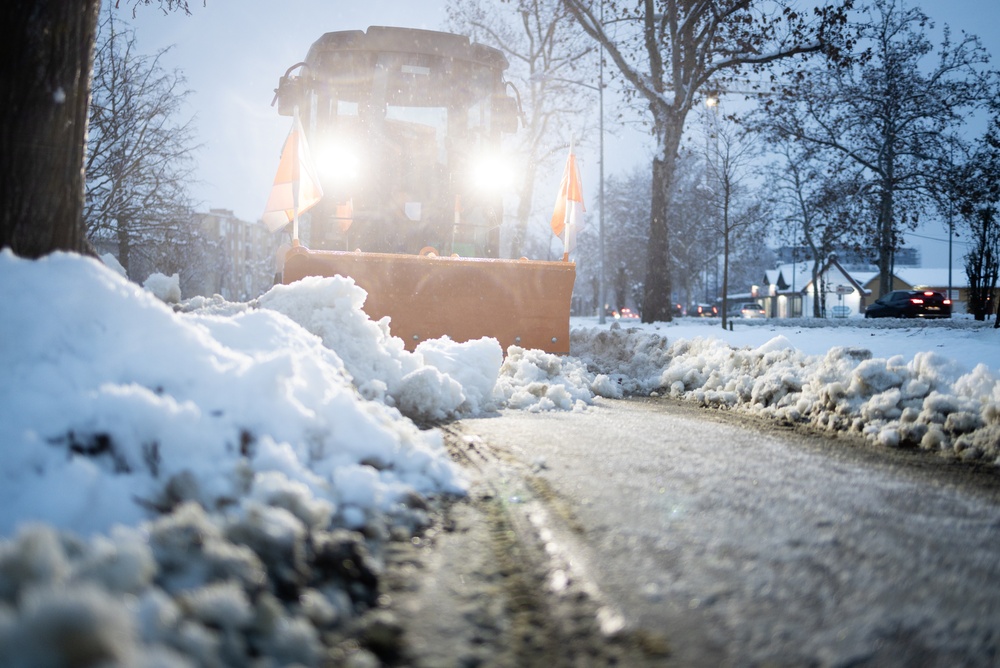 Louis Reinigung & Garten