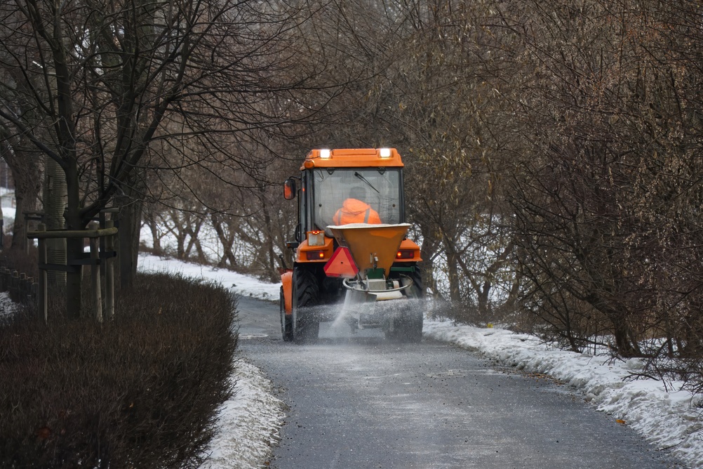 Louis Reinigung & Garten